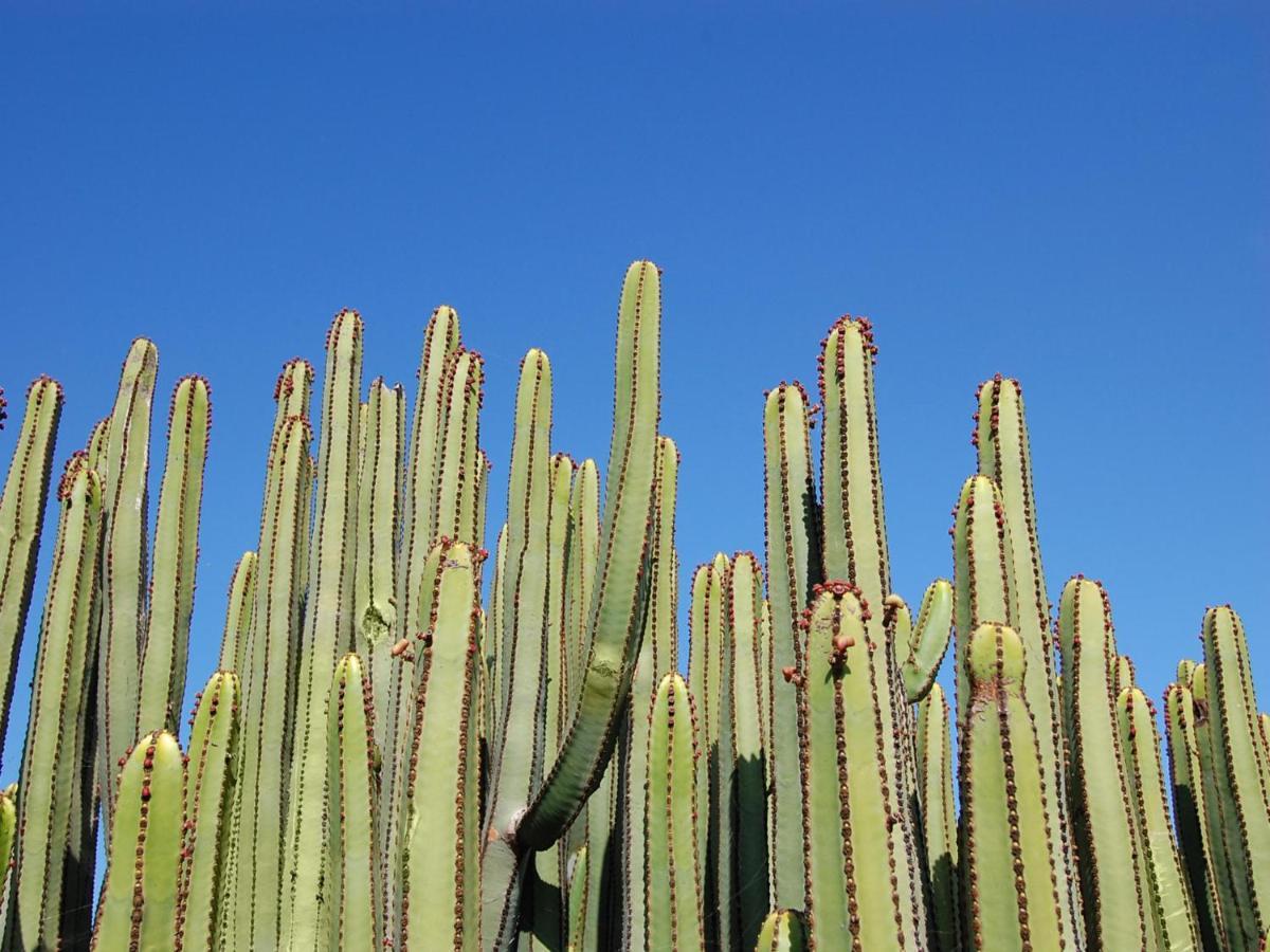 Albatross By Villagrancanaria Maspalomas  Exterior photo